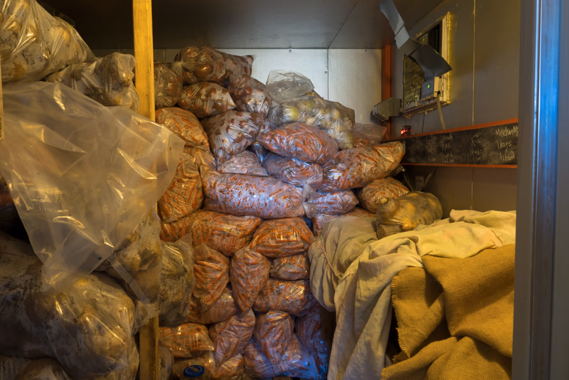 Evening Song Farm — photo 3