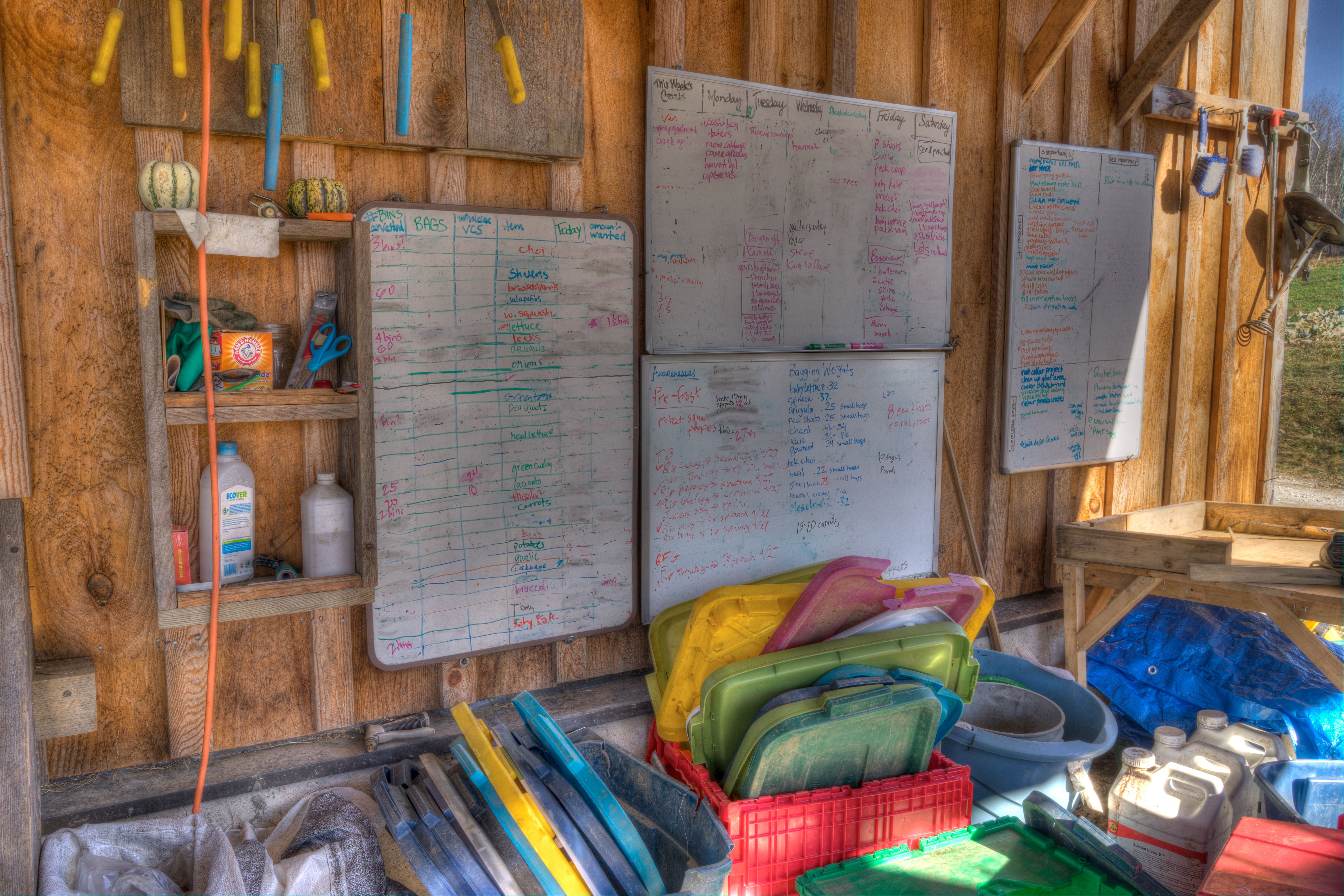 The Chore List