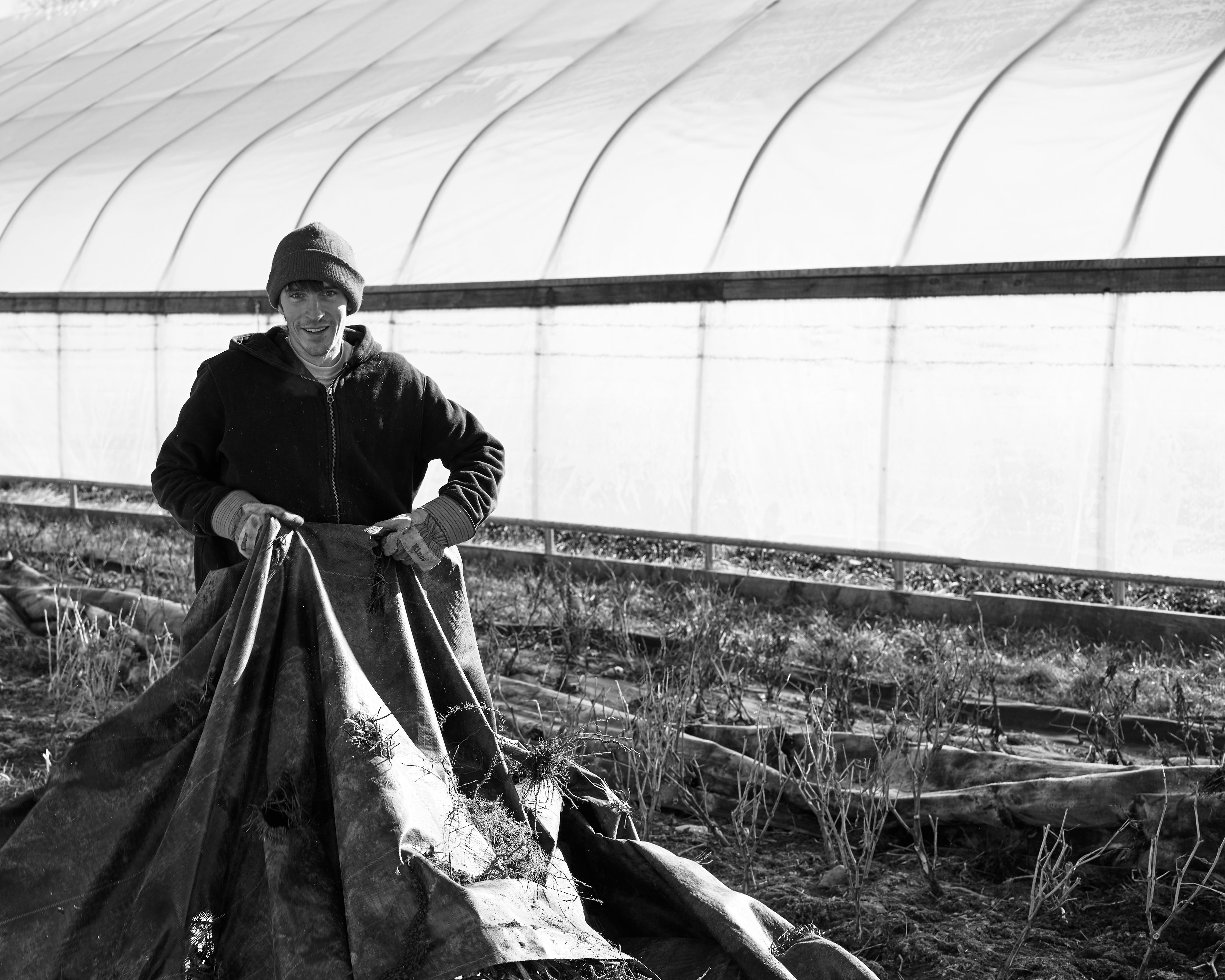 Farmer Ryan