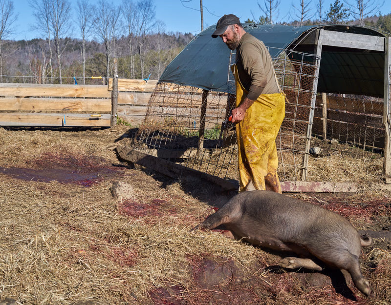 Earthwise Farm & Friends — photo 7