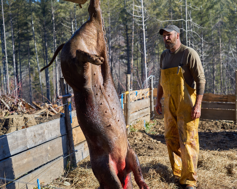 Earthwise Farm & Friends — photo 8