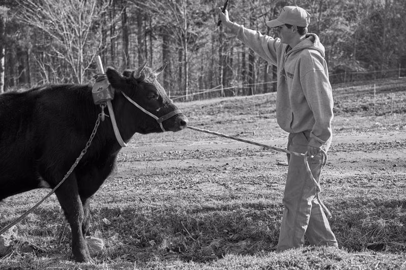 Earthwise Farm — photo 10